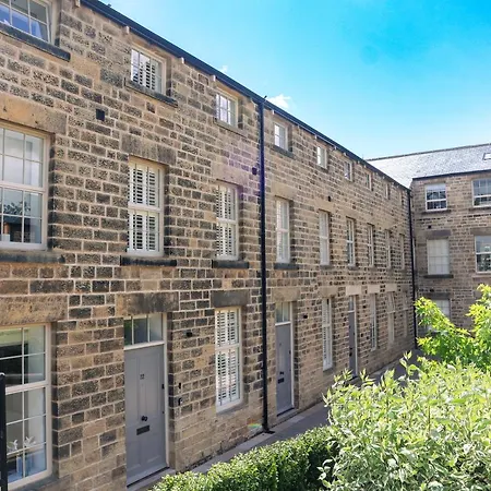 Foxglove * Harrogate